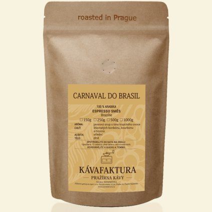 carnaval do brazil